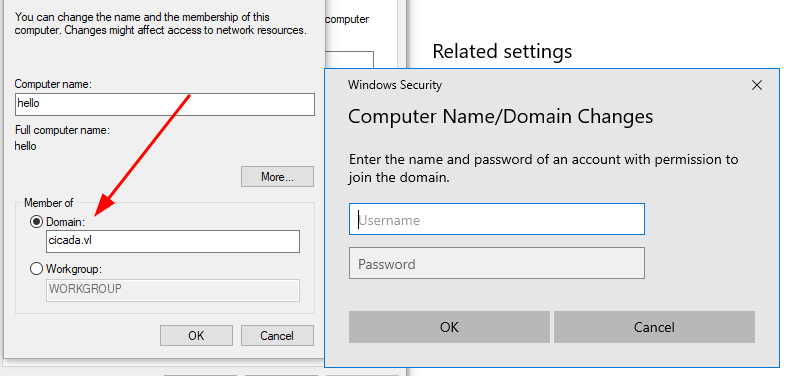 Cicada share access