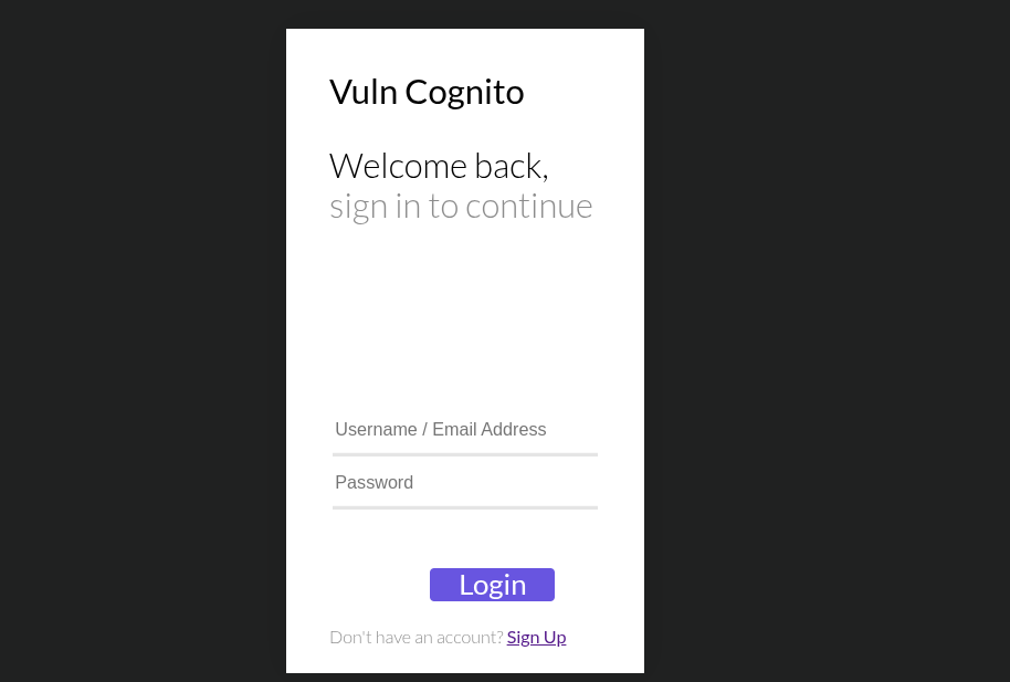 Login Interface