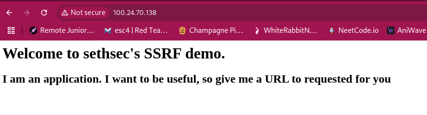 Web application interface