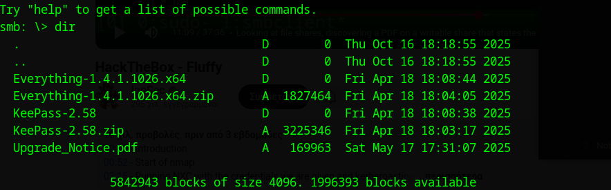 Contents of the IT share showing a PDF file
