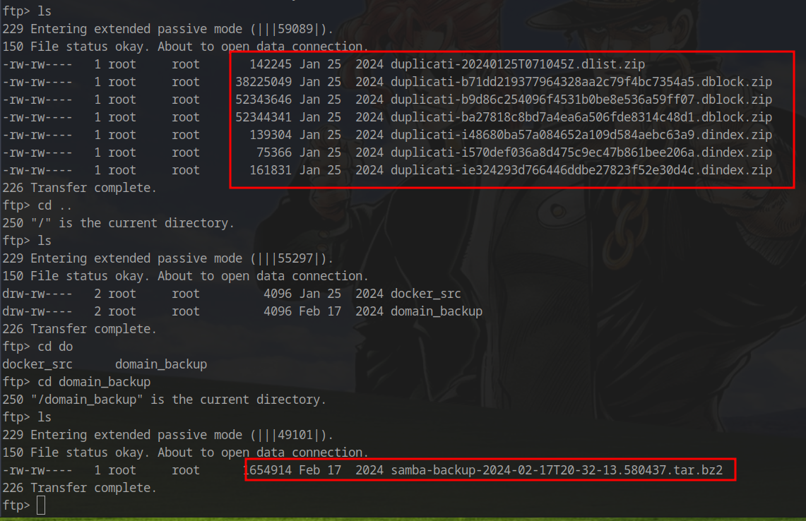 Domain backups on FTP