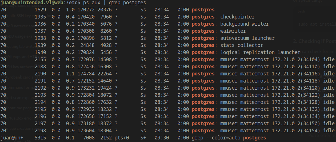 PostgreSQL in Docker